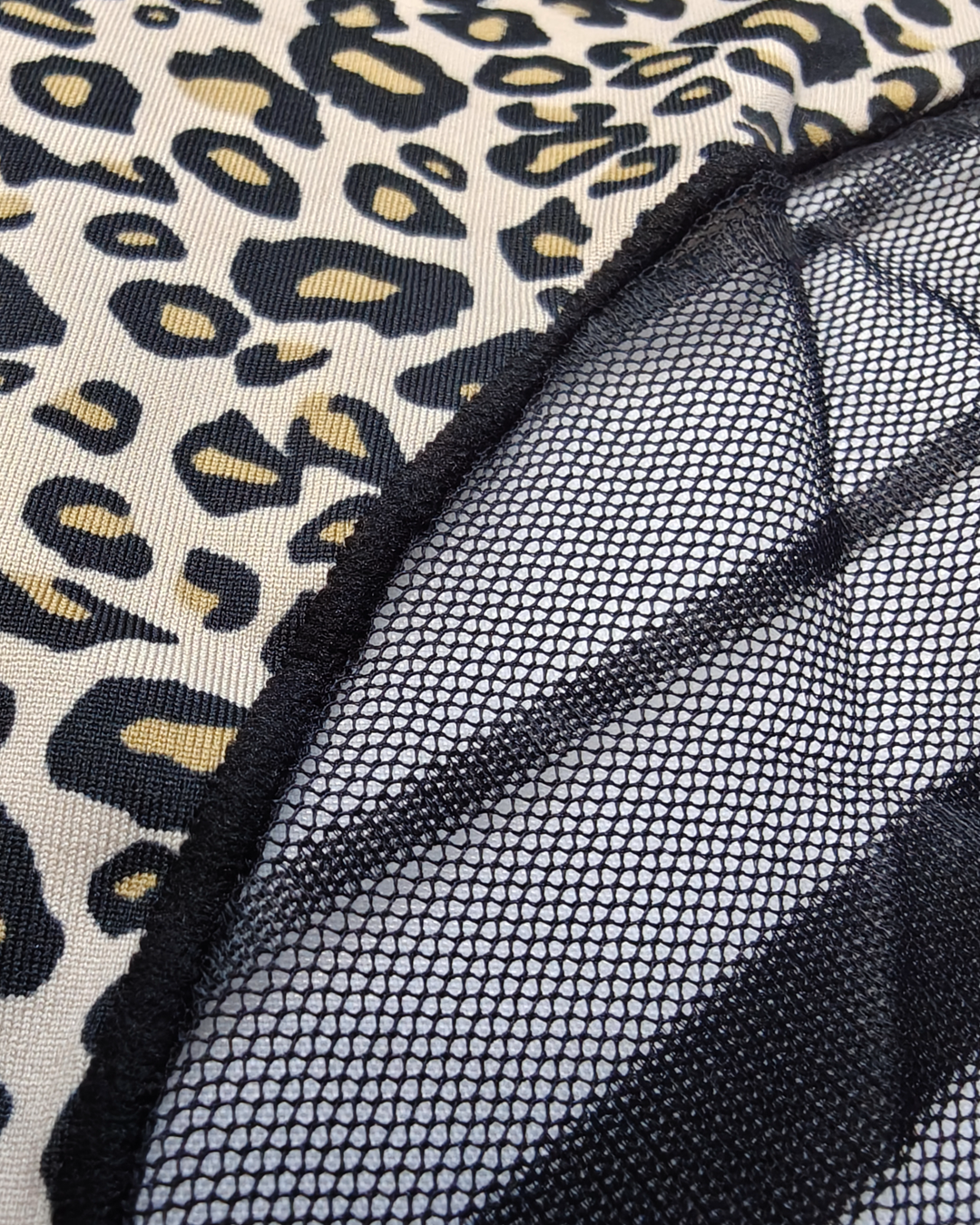 TR 908 _Leo_Big_Inst